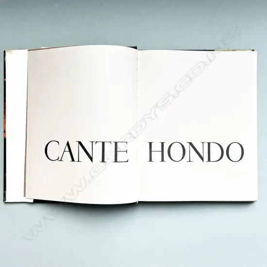 ANDRE MARTIN: CANTE HONDO